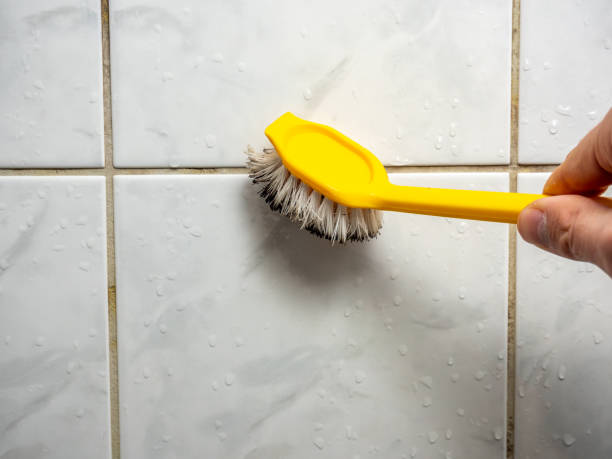 Best Kitchen Mold Remediation in New Orleans, LA
