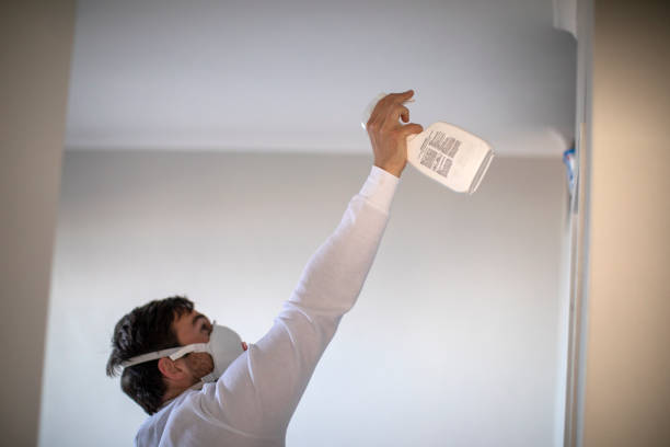 Best White Mold Remediation in New Orleans, LA