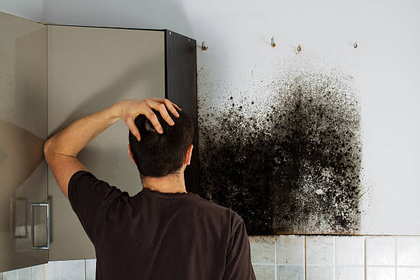 New Orleans, LA Mold Remediation Company
